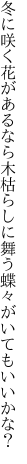 冬に咲く花があるなら木枯らしに 舞う蝶々がいてもいいかな？