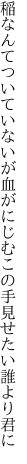 稲なんてついていないが血がにじむ この手見せたい誰より君に