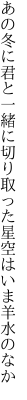 あの冬に君と一緒に切り取った 星空はいま羊水のなか