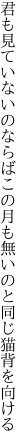 君も見ていないのならばこの月も 無いのと同じ猫背を向ける