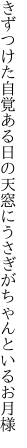 きずつけた自覚ある日の天窓に うさぎがちゃんといるお月様