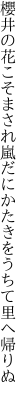 櫻井の花こそまされ嵐だに かたきをうちて里へ帰りぬ