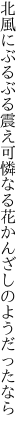 北風にぶるぶる震え可憐なる 花かんざしのようだったなら