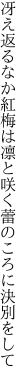 冴え返るなか紅梅は凛と咲く 蕾のころに決別をして