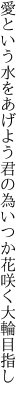 愛という水をあげよう君の為 いつか花咲く大輪目指し