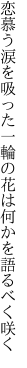 恋慕う涙を吸った一輪の 花は何かを語るべく咲く