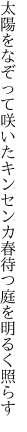 太陽をなぞって咲いたキンセンカ 春待つ庭を明るく照らす