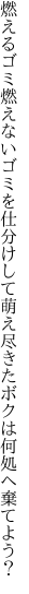 燃えるゴミ燃えないゴミを仕分けして 萌え尽きたボクは何処へ棄てよう？