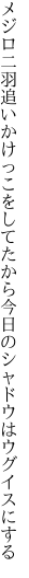 メジロ二羽追いかけっこをしてたから 今日のシャドウはウグイスにする