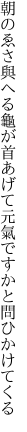 朝のゑさ與へる龜が首あげて 元氣ですかと問ひかけてくる