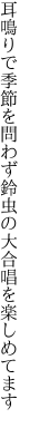 耳鳴りで季節を問わず鈴虫の 大合唱を楽しめてます