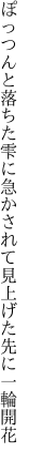 ぽっつんと落ちた雫に急かされて 見上げた先に一輪開花