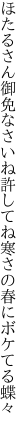 ほたるさん御免なさいね許してね 寒さの春にボケてる蝶々