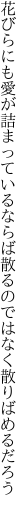 花びらにも愛が詰まっているならば 散るのではなく散りばめるだろう