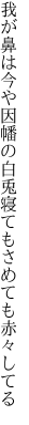 我が鼻は今や因幡の白兎 寝てもさめても赤々してる