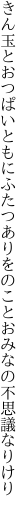 きん玉とおつぱいともにふたつあり をのことおみなの不思議なりけり