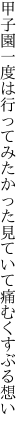 甲子園一度は行ってみたかった 見ていて痛むくすぶる想い