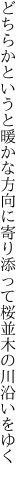 どちらかというと暖かな方向に 寄り添って桜並木の川沿いをゆく