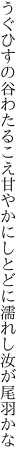 うぐひすの谷わたるこえ甘やかに しとどに濡れし汝が尾羽かな