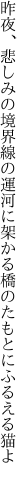 昨夜、悲しみの境界線の運河に 架かる橋のたもとにふるえる猫よ