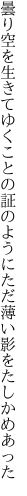 曇り空を生きてゆくことの証の ようにただ薄い影をたしかめあった