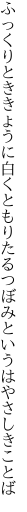 ふっくりとききょうに白くともりたる つぼみというはやさしきことば