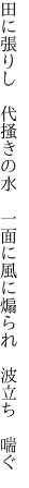 田に張りし 代掻きの水 一面に 風に煽られ 波立ち 喘ぐ