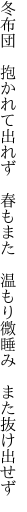 冬布団 抱かれて出れず 春もまた  温もり微睡み また抜け出せず