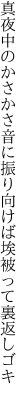 真夜中のかさかさ音に振り向けば 埃被って裏返しゴキ