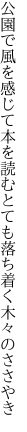 公園で風を感じて本を読む とても落ち着く木々のささやき