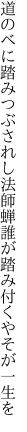 道のべに踏みつぶされし法師蝉 誰が踏み付くやそが一生を