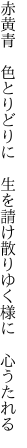 赤黄青 色とりどりに 生を請け 散りゆく様に 心うたれる