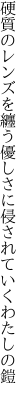 硬質のレンズを纏う優しさに 侵されていくわたしの鎧