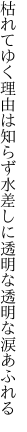 枯れてゆく理由は知らず水差しに 透明な透明な涙あふれる