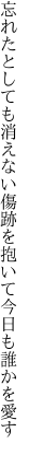 忘れたとしても消えない傷跡を 抱いて今日も誰かを愛す