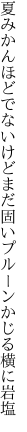 夏みかんほどでないけどまだ固い プルーンかじる横に岩塩