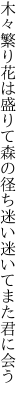 木々繁り花は盛りて森の径ち 迷い迷いてまた君に会う