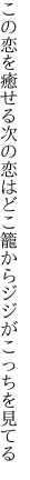 この恋を癒せる次の恋はどこ 籠からジジがこっちを見てる