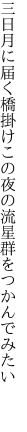 三日月に届く橋掛けこの夜の 流星群をつかんでみたい 
