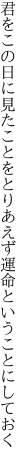 君をこの日に見たことをとりあえず 運命ということにしておく