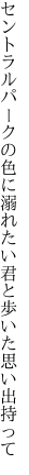 セントラルパークの色に溺れたい 君と歩いた思い出持って