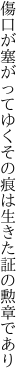 傷口が塞がってゆくその痕は 生きた証の勲章であり