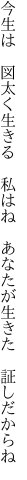 今生は 図太く生きる 私はね  あなたが生きた 証しだからね