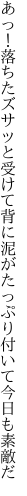 あっ！落ちたズサッと受けて背に泥が たっぷり付いて今日も素敵だ