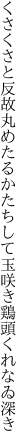 くさくさと反故丸めたるかたちして 玉咲き鶏頭くれなゐ深き