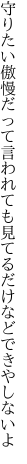 守りたい傲慢だって言われても 見てるだけなどできやしないよ