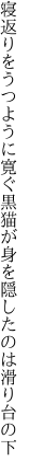 寝返りをうつように寛ぐ黒猫が 身を隠したのは滑り台の下