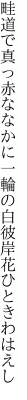 畦道で真っ赤ななかに一輪の 白彼岸花ひときわはえし