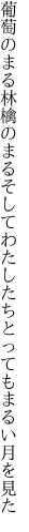 葡萄のまる林檎のまるそしてわたしたち とってもまるい月を見た