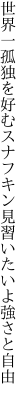 世界一孤独を好むスナフキン 見習いたいよ強さと自由